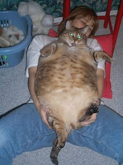 Exclusive Picture Reveals Woman With Her Giant Pussy